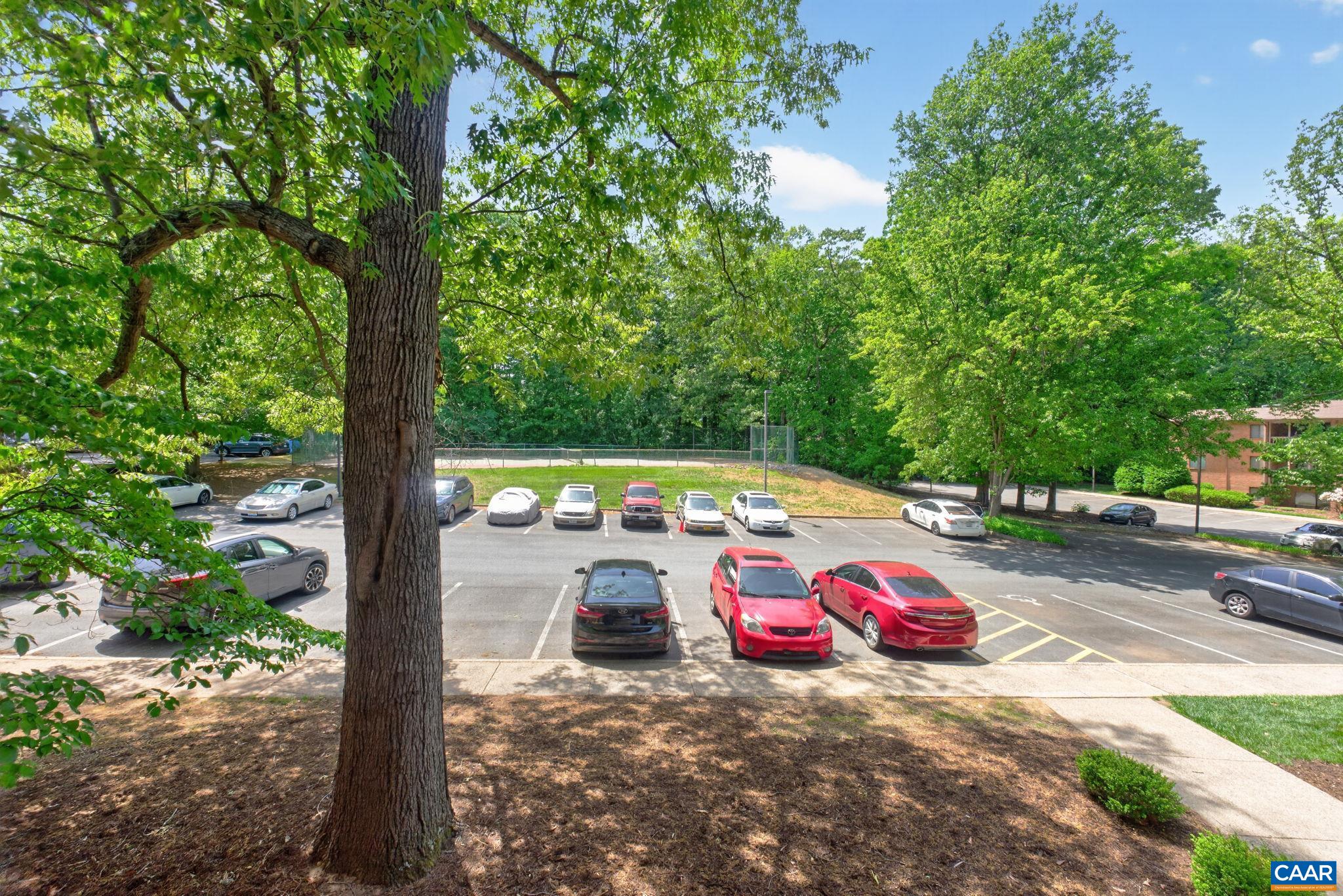 103 Turtle Creek Road, Unit 8 Charlottesville, VA 22901 - Photo 36 of 37 a view of a wooden floor with a tree