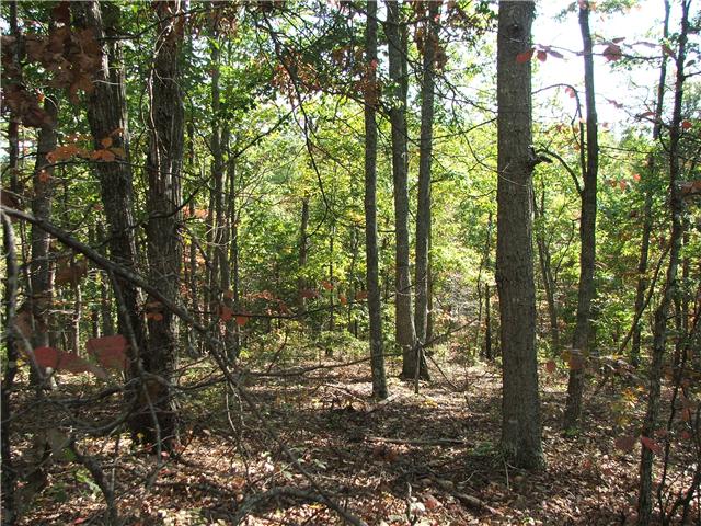 0 Old State Rt 76 Dover, TN 37058 - Photo 6 of 7 Gallery Image 6