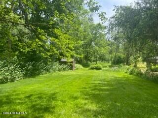 1379 Aquetuck Road New Baltimore, NY 12143 - Photo 22 of 23 Backyard View