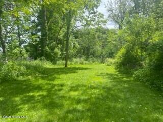 1379 Aquetuck Road New Baltimore, NY 12143 - Photo 23 of 23 Second Backyard View