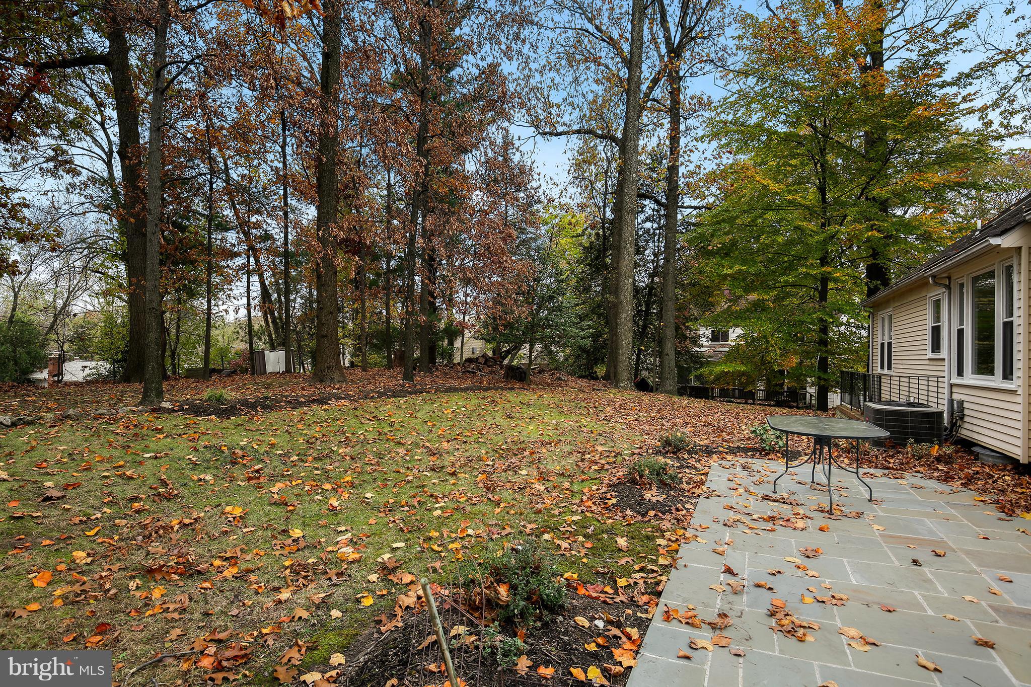 716 Kersey Road Silver Spring, MD 20902 - Photo 33 of 33 Gallery Image 33