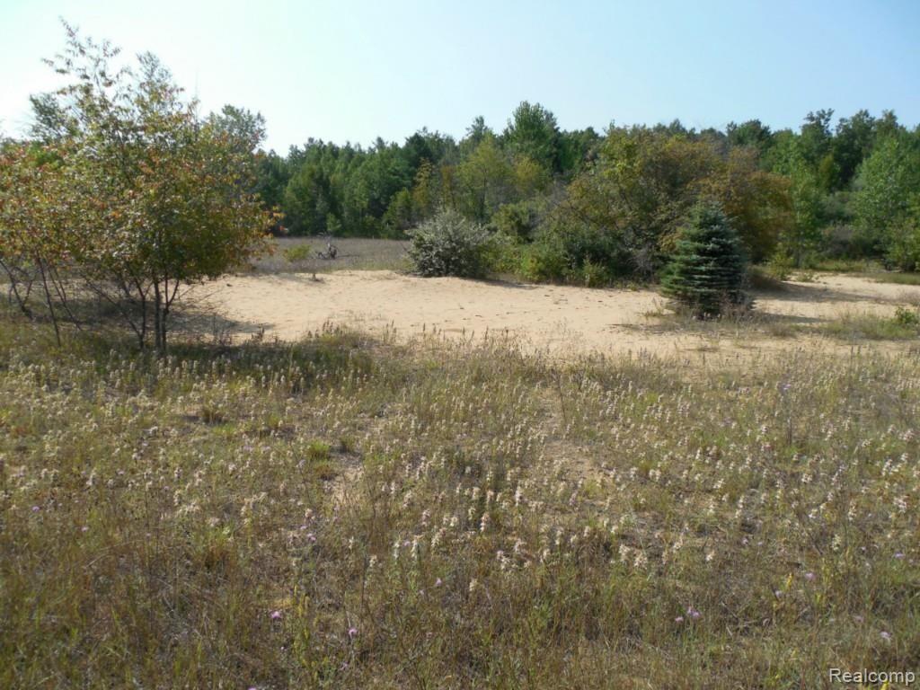 0 West Bliss Road Caro, MI 48723 - Photo 1 of 2