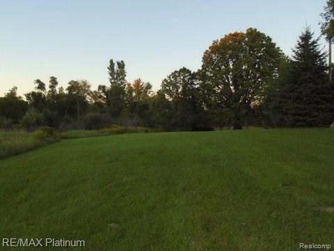 11930 North Latson Road Linden, MI 48451 - Photo 17 of 20 DSC01219.JPG