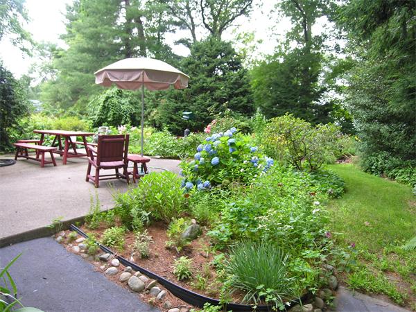 183 Elmwood Road Needham, MA 02492 - Photo 22 of 29 Gallery Image 22