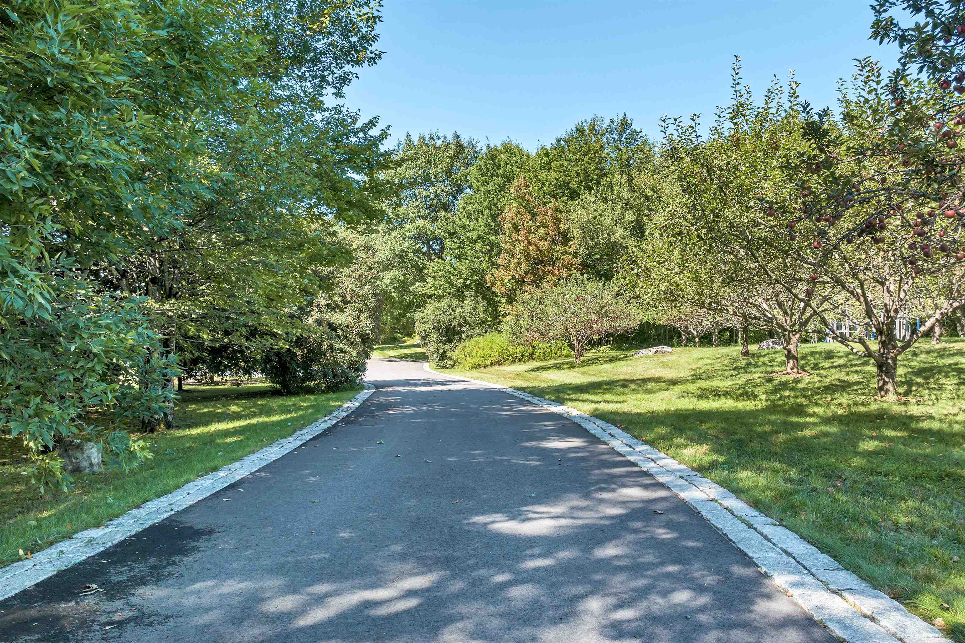 137 Brown Road, Unit 4 Tuftonboro, NH 03816 - Photo 2 of 48