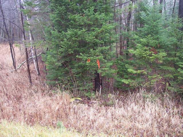 On Lone Pine Road Fifield, WI 54524 - Photo 16 of 16 Gallery Image 16