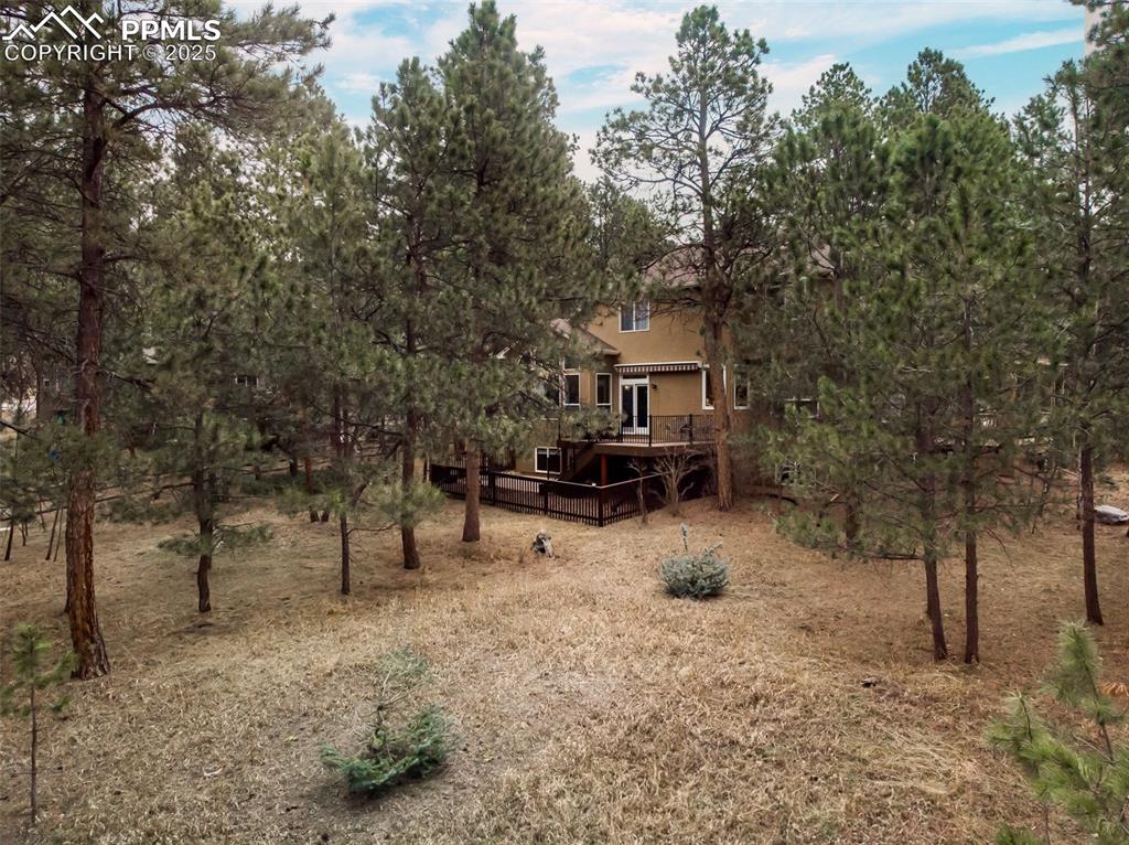 15580 Deercross Court Colorado Springs, CO 80921 - Photo 44 of 50 a view of house with trees in the background