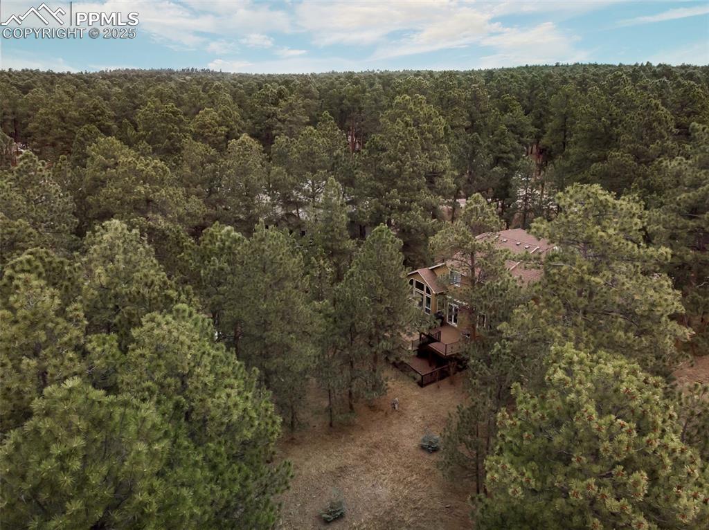 15580 Deercross Court Colorado Springs, CO 80921 - Photo 49 of 50 a view of a yard