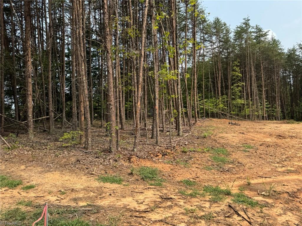 517 Bailey Road Madison, NC 27025 - Photo 8 of 17