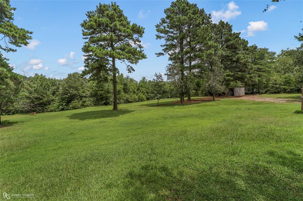 1426 Caney Lake Road Minden, LA 71055 - Photo 29 of 36 Expansive grassy area with mature trees and a utility shed
