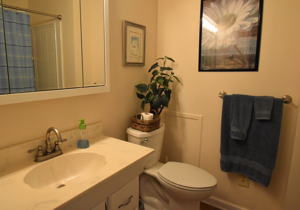 249 Edgewood Road Saluda, SC 29138 - Photo 13 of 25 Gallery Image 13