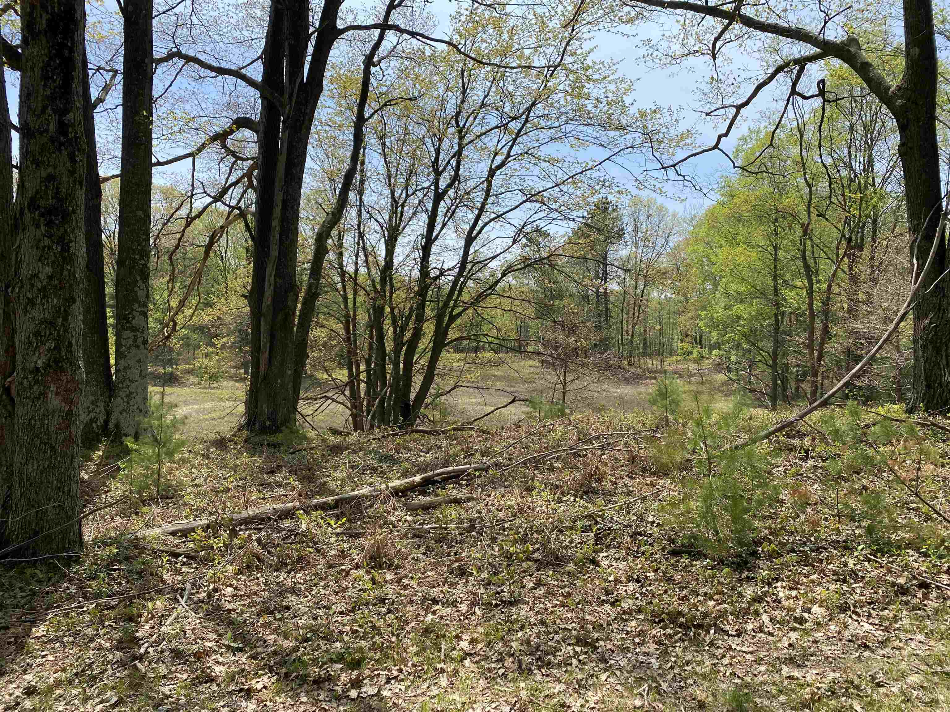 47 South 47 3/4 Road, Unit FOREST DRIVE LOT: 4 Cadillac, MI 49601 - Photo 8 of 14