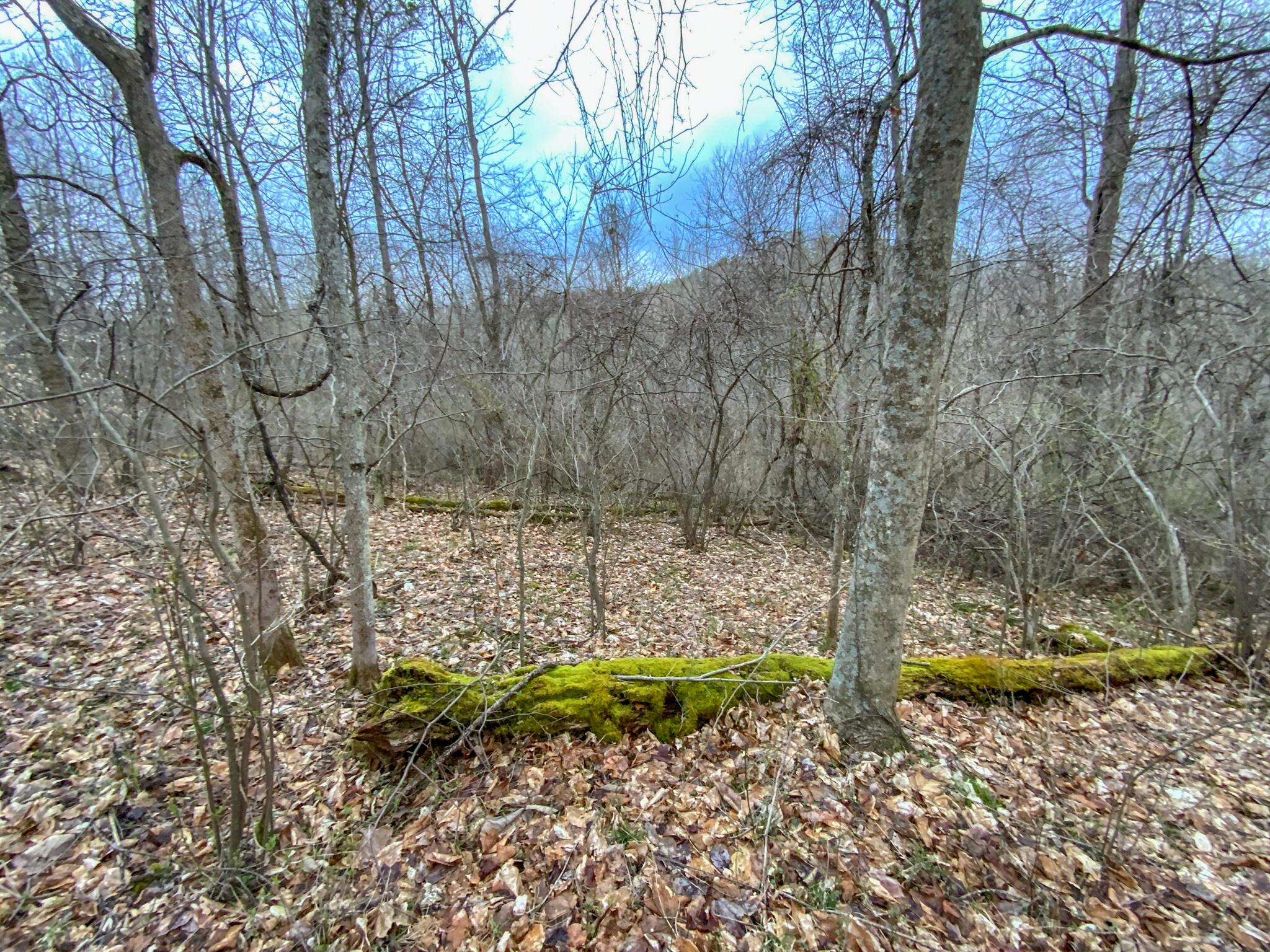 Lot 2 Fogle Road Caldwell, OH 43724 - Photo 15 of 23 IMG_5300