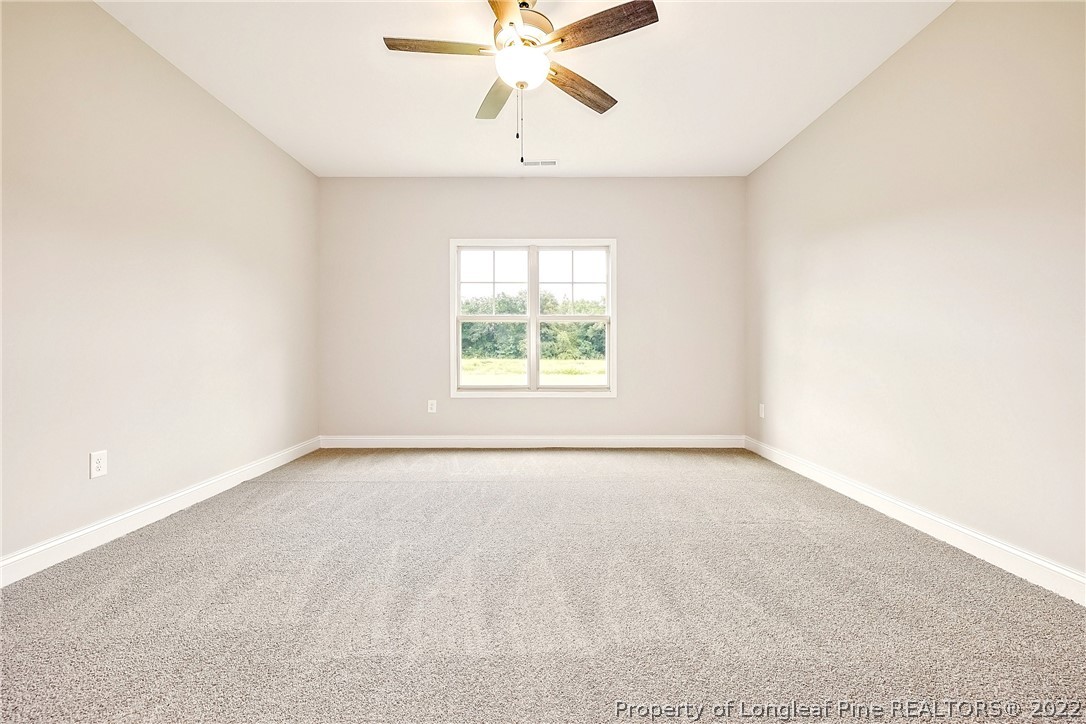 1284 McNeil Pond Road Lumber Bridge, NC 28357 - Photo 16 of 29 Gallery Image 16