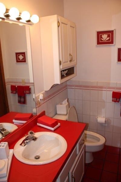 360 Lower County Road Harwich Port, MA 02646 - Photo 22 of 33 a bathroom with a sink and a mirror