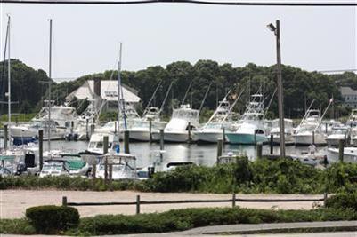 360 Lower County Road Harwich Port, MA 02646 - Photo 3 of 33 a view of a lake
