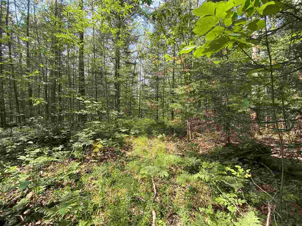 0 Briggs Road Omer, MI 48749 - Photo 34 of 45