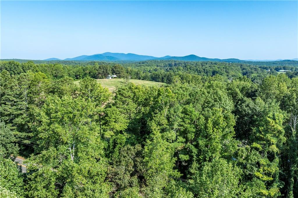 10209 Kelly Bridge Road Dawsonville, GA 30534 - Photo 7 of 31 a view of a lush green forest with a houses
