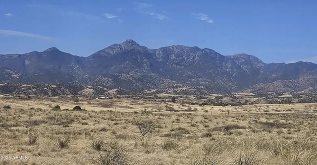 a view of a dry yard with mountains in the background