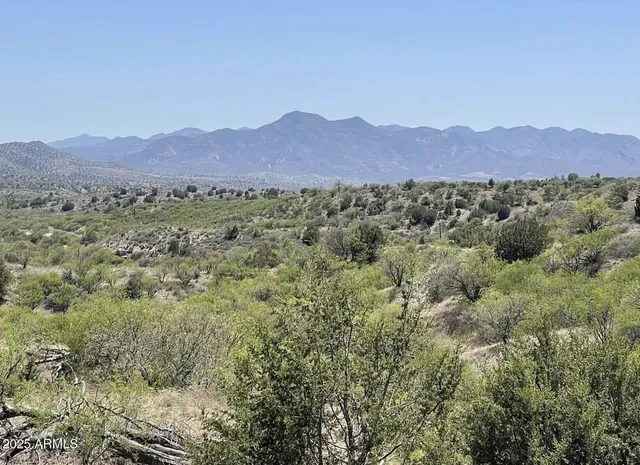 a view of a lush green hillside and a houses