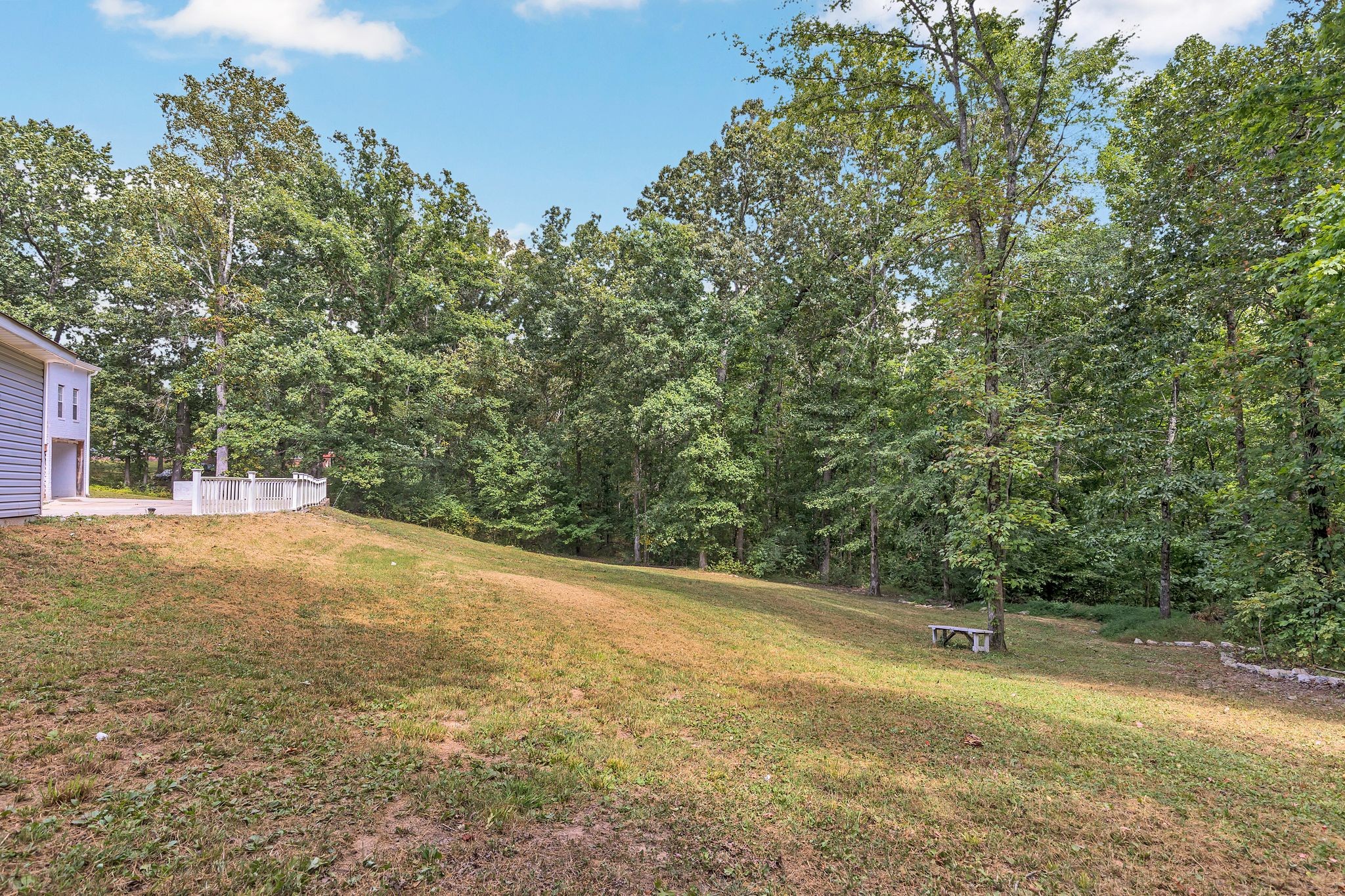 1450 Southside Road Southside, TN 37171 - Photo 39 of 41 a view of a yard with a house