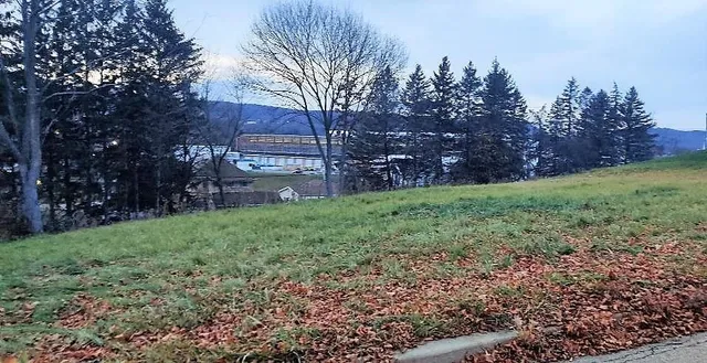 $15,000 | 195 Greeley Avenue, Hornell, NY 14843