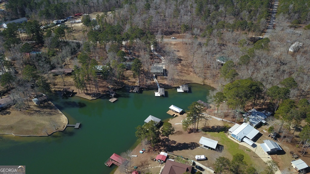 729-731 Marigold Road Sparta, GA 31087 - Photo 13 of 17 an aerial view of a house with a yard
