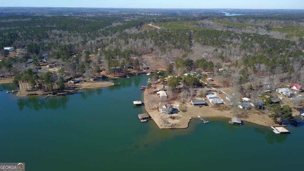 729-731 Marigold Road Sparta, GA 31087 - Photo 15 of 17 aerial view of a house with a lake view