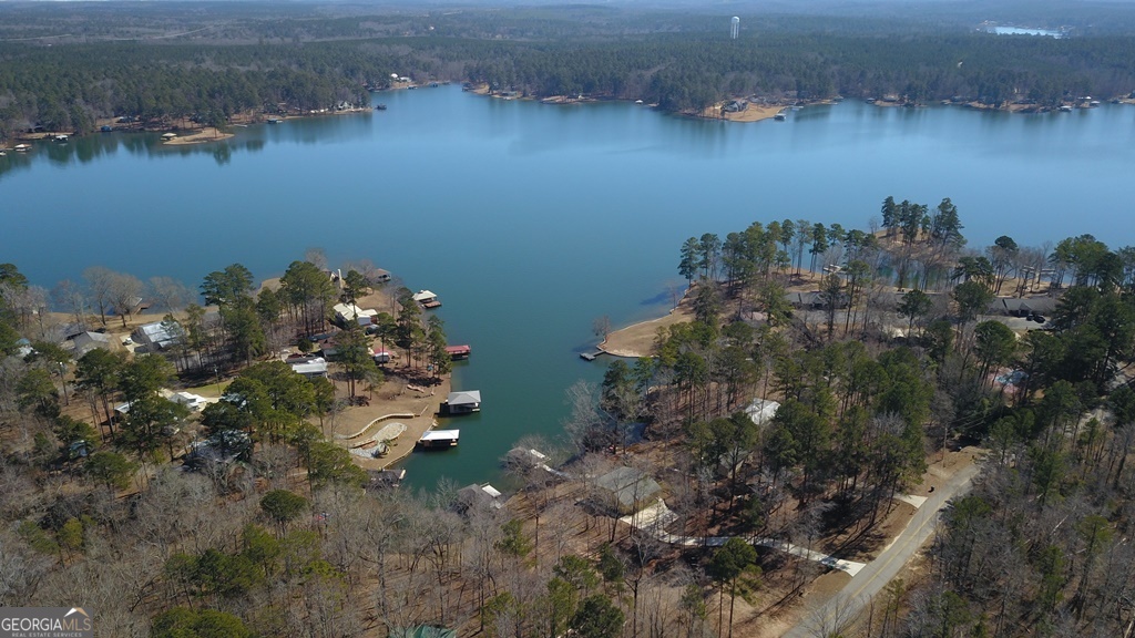729-731 Marigold Road Sparta, GA 31087 - Photo 5 of 17 an aerial view of a houses with yard