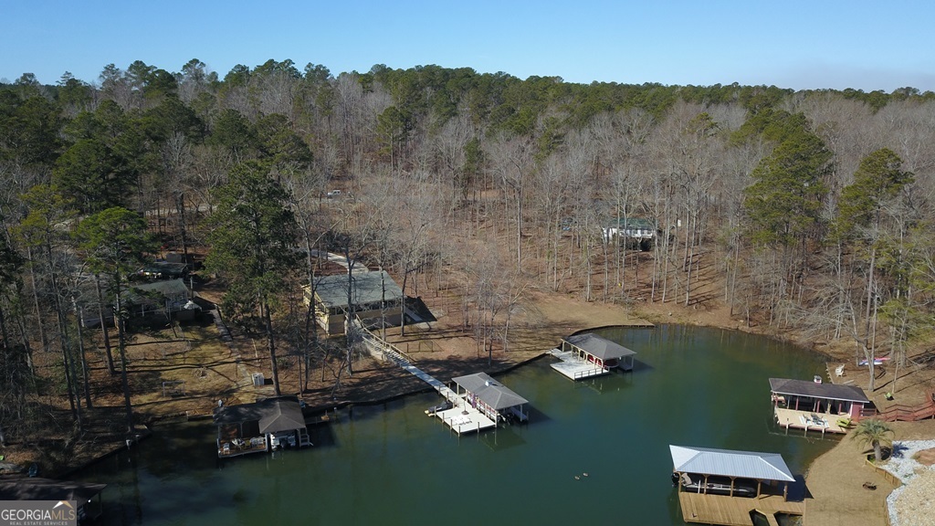 729-731 Marigold Road Sparta, GA 31087 - Photo 6 of 17 an aerial view of a house with a yard