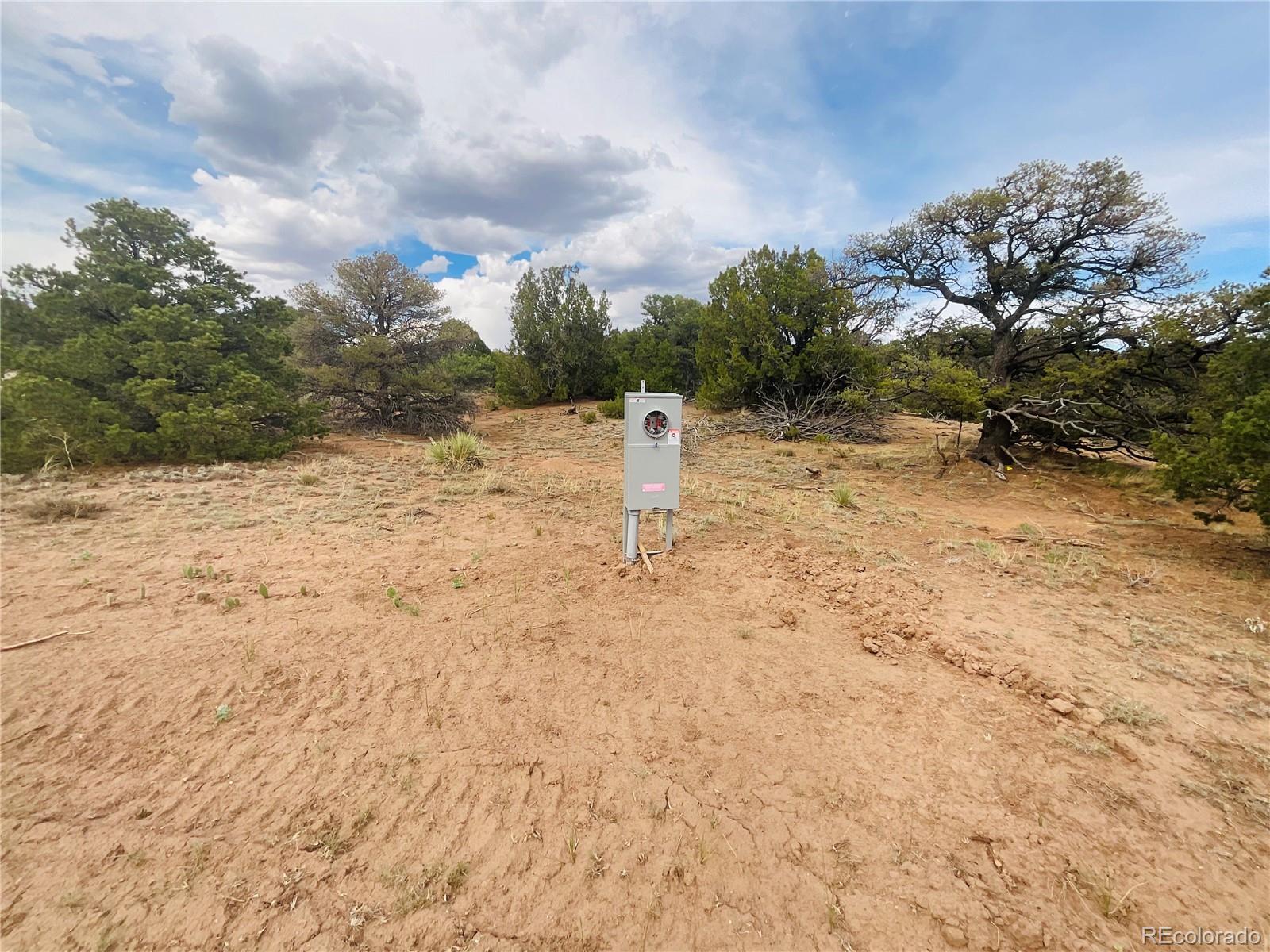 17 Phase 3 Navajo Ranch Walsenburg, CO 81089 - Photo 3 of 26 a view of a yard with trees