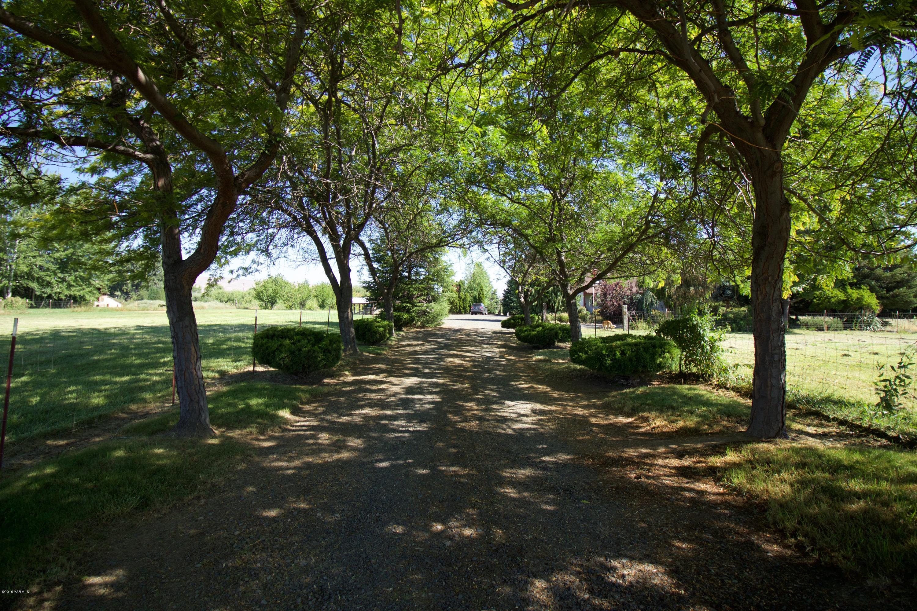 12831 Nelson Road Yakima, WA 98903 - Photo 2 of 24 a view of backyard with tree