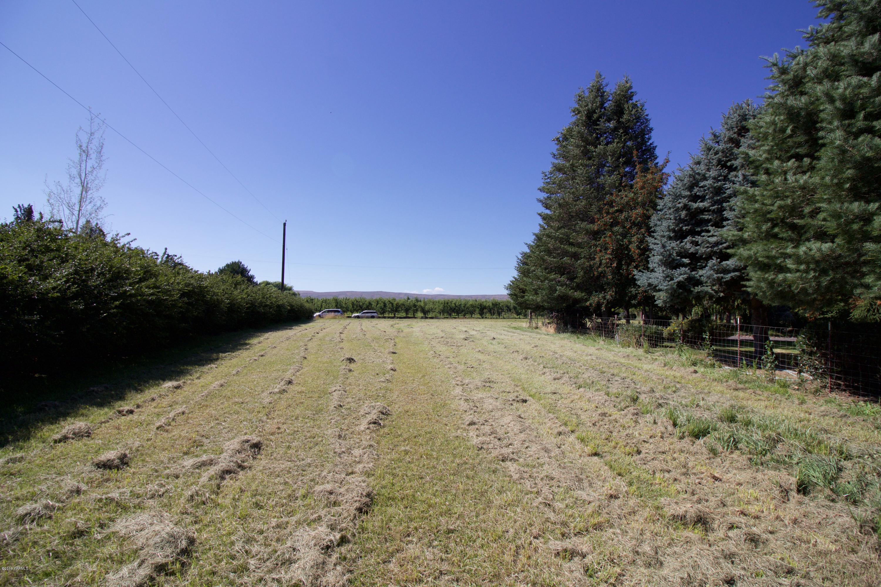 12831 Nelson Road Yakima, WA 98903 - Photo 20 of 24 a view of a yard with a tree
