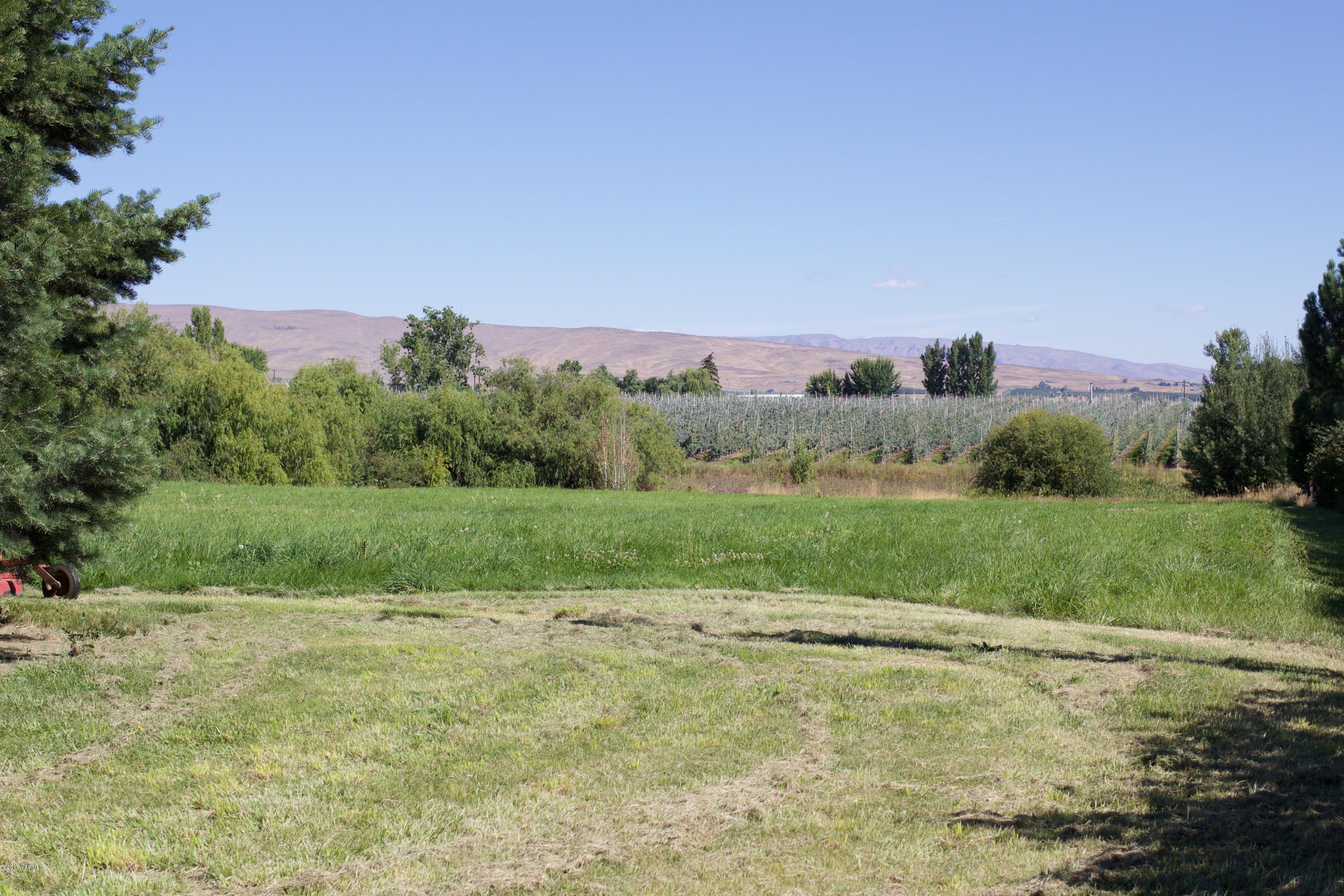 12831 Nelson Road Yakima, WA 98903 - Photo 4 of 24 a view of a field with an trees