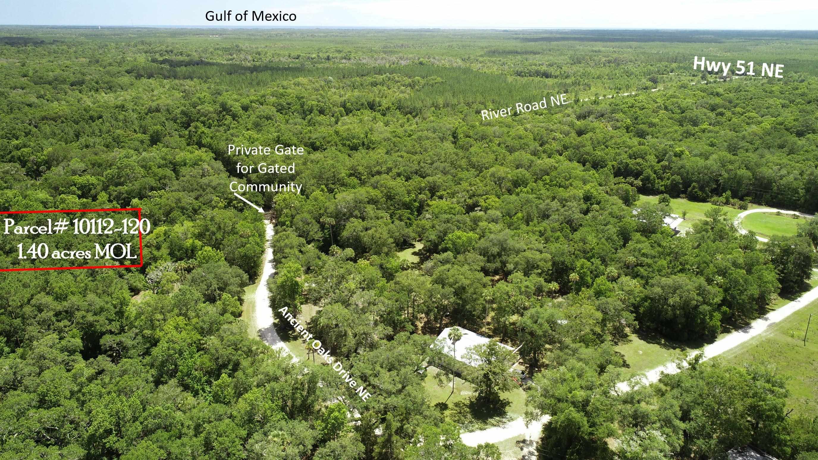 Lot 1 Northeast Ancient Oaks Road Steinhatchee, FL 32359 - Photo 1 of 6