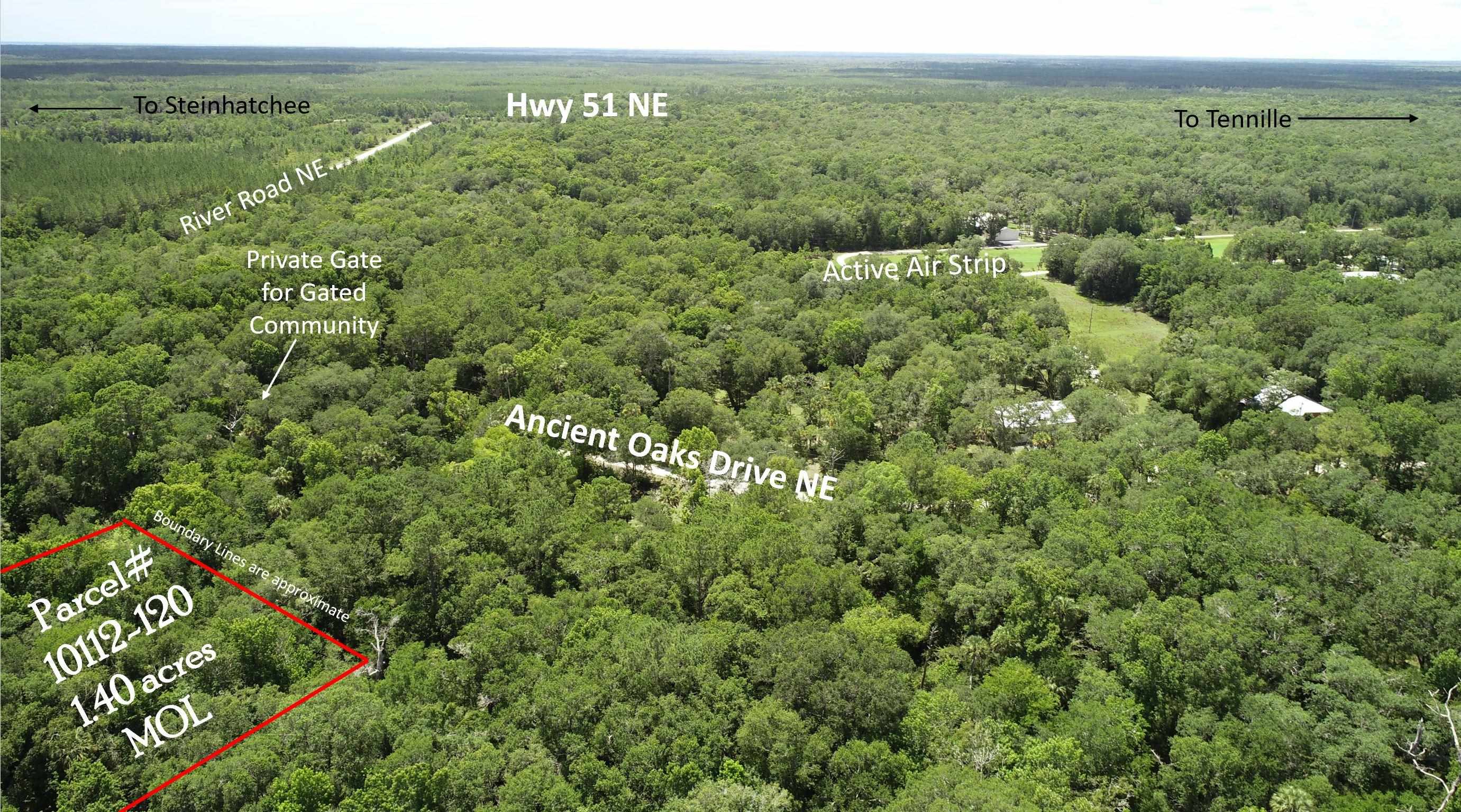 Lot 1 Northeast Ancient Oaks Road Steinhatchee, FL 32359 - Photo 2 of 6