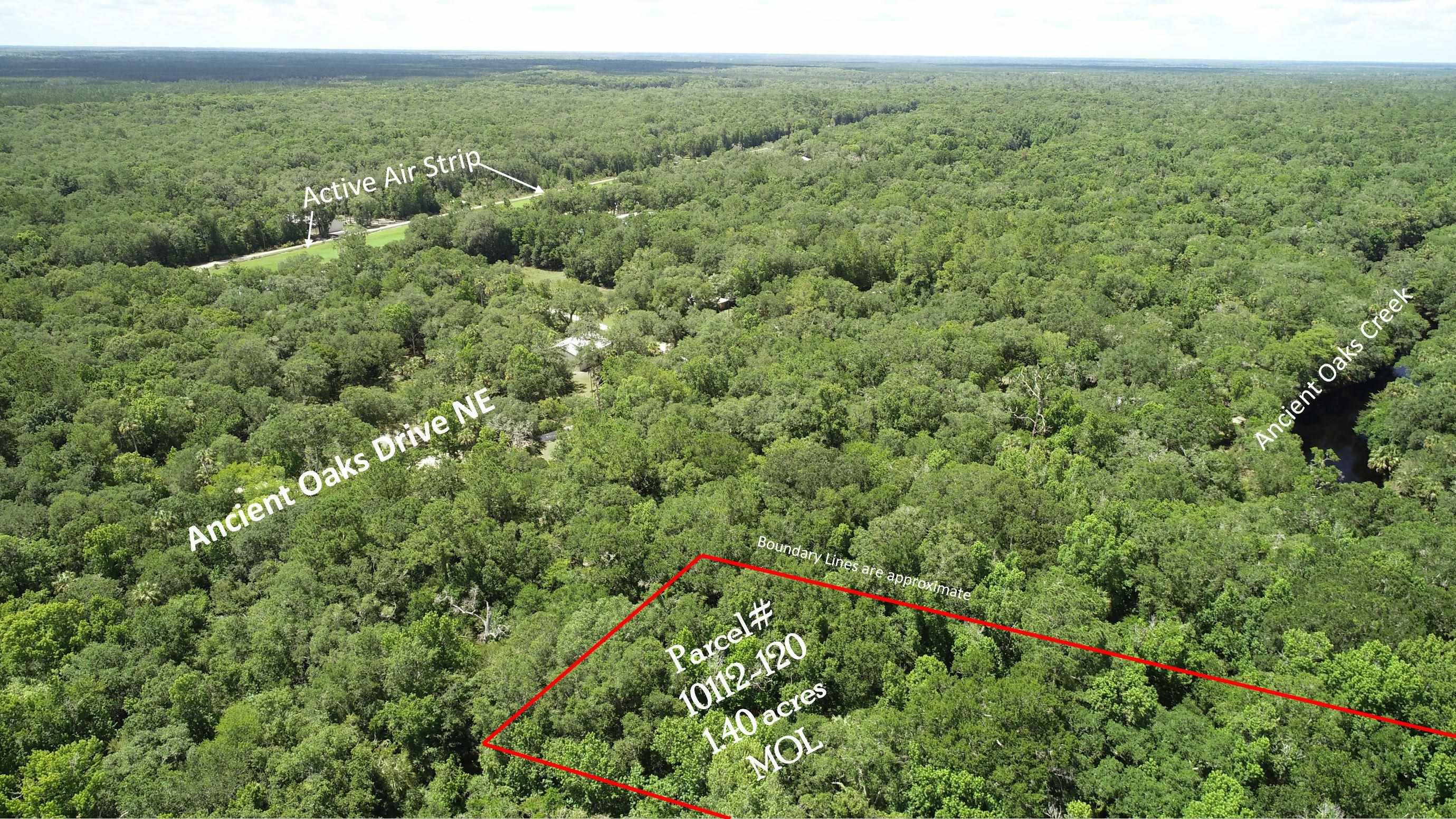Lot 1 Northeast Ancient Oaks Road Steinhatchee, FL 32359 - Photo 3 of 6