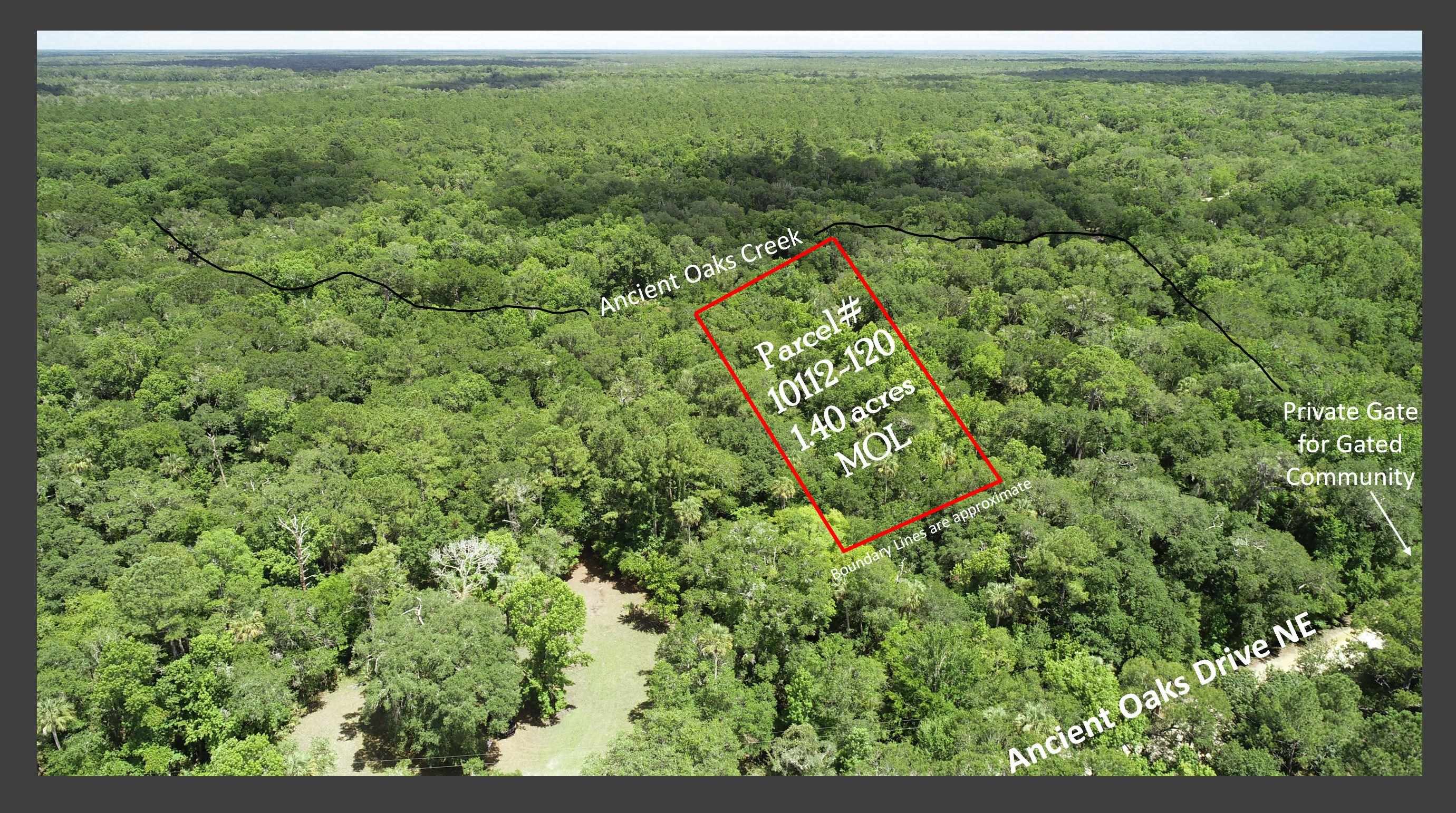 Lot 1 Northeast Ancient Oaks Road Steinhatchee, FL 32359 - Photo 4 of 6
