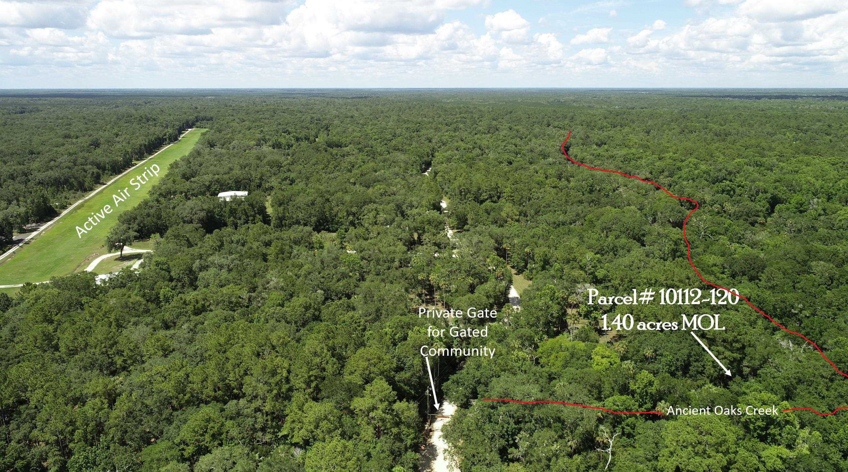 Lot 1 Northeast Ancient Oaks Road Steinhatchee, FL 32359 - Photo 5 of 6