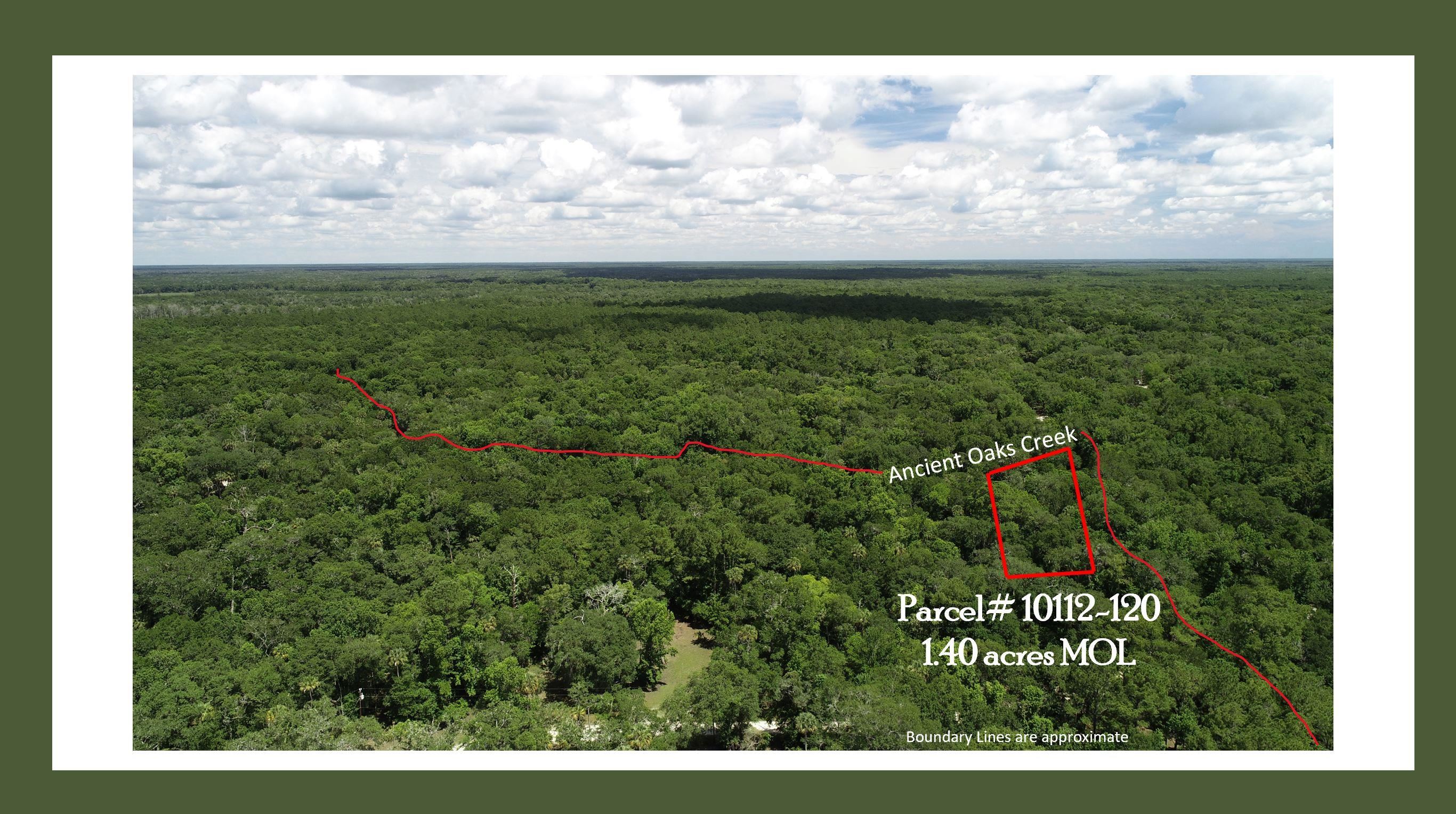 Lot 1 Northeast Ancient Oaks Road Steinhatchee, FL 32359 - Photo 6 of 6