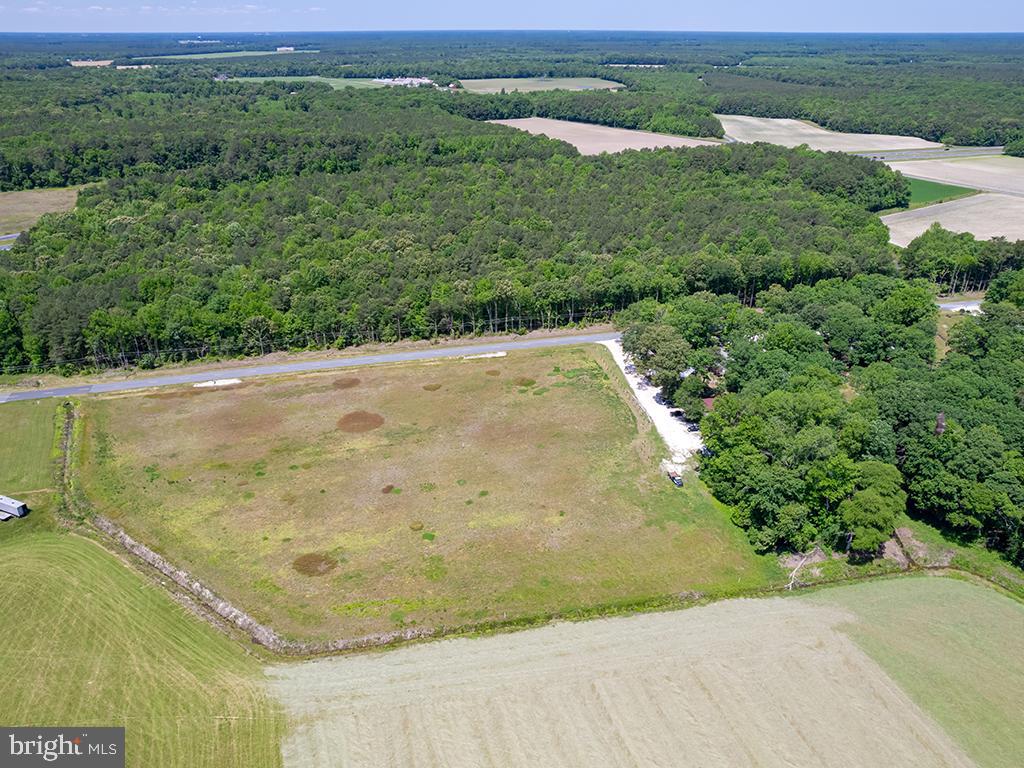 Lot 4-4-2 Old State Road South Georgetown, DE 19947 - Photo 2 of 12 Gallery Image 2