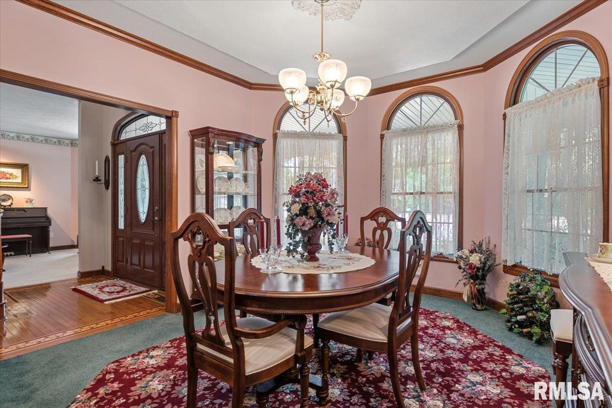 49 Woodland Trail Rochester, IL 62563 - Photo 14 of 98