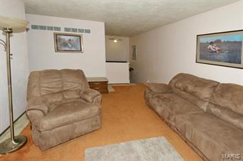 1111 Rio Street St. Louis, MO 63138 - Photo 10 of 26 Gallery Image 10
