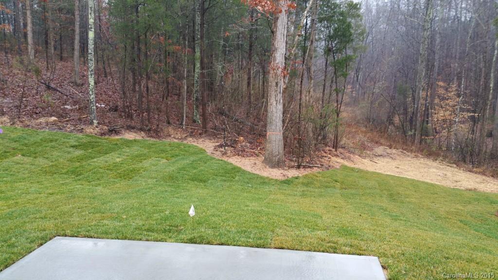 8009 Clems Branch Road Indian Land, SC 29707 - Photo 11 of 11 a view of a garden with a fountain