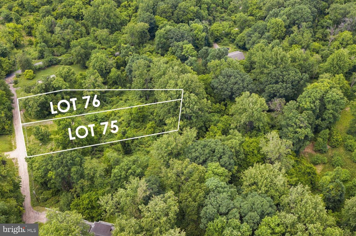75 Sleepy Hollow Road Linden, VA 22642 - Photo 13 of 19