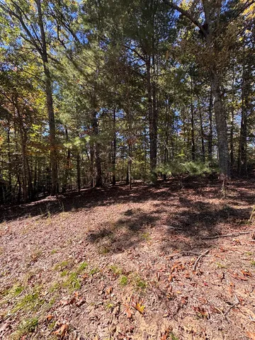 a view of outdoor space with trees