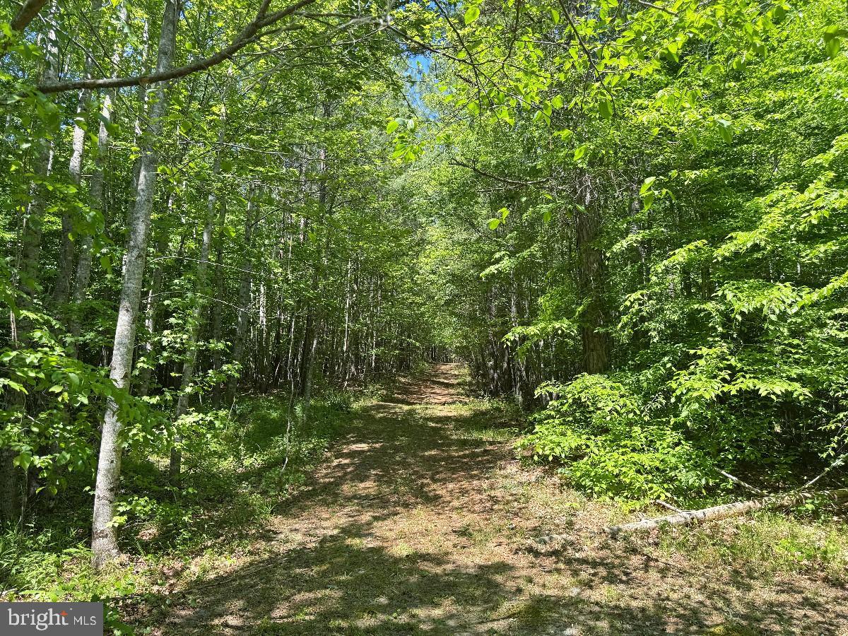 3230 Ridgeway Road Vernon Hill, VA 24597 - Photo 69 of 71