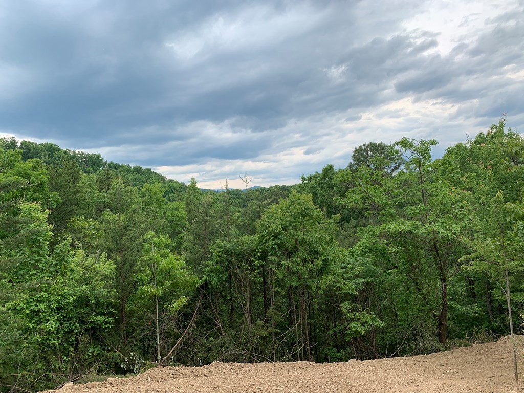 24 Engle Town Road Sevierville, TN 37863 - Photo 2 of 4