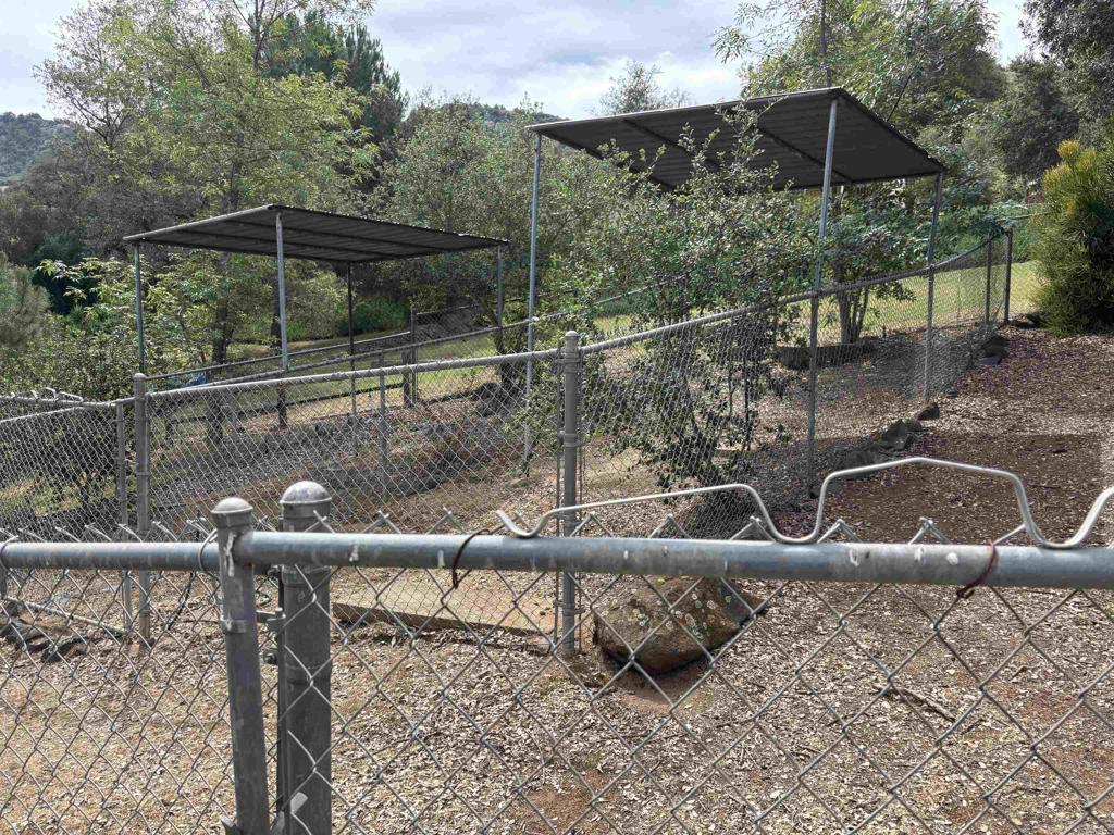 14765 Woods Valley Road Valley Center, CA 92082 - Photo 43 of 52 Animal Enclosure
