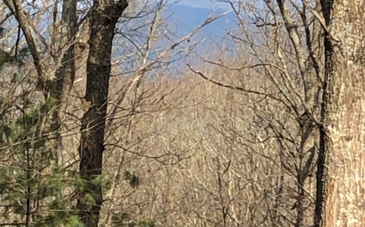 Additional View